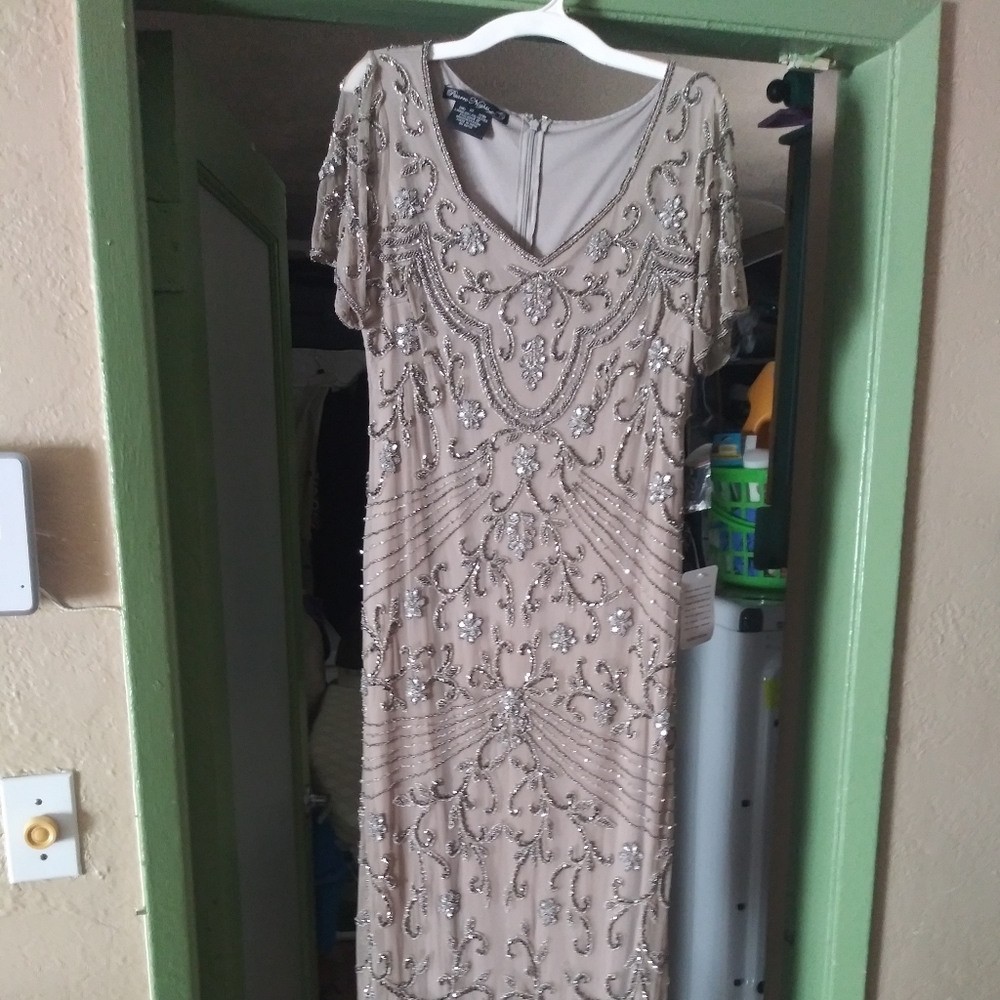 Pisarro Nights beaded Long dress sz 10